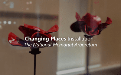 Changing Places Toilet at the National Memorial Arboretum